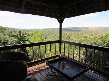 Woodbury Lodge Amakhala Game Reserve Ngoại thất bức ảnh
