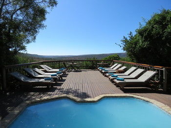 Woodbury Lodge Amakhala Game Reserve Ngoại thất bức ảnh